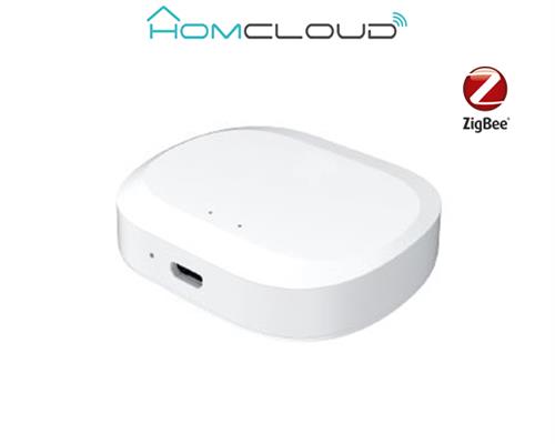 Centralina intelligente Hub Zigbee+bluetooth