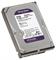 Western Digital hard disk sata da 2Tb Purple